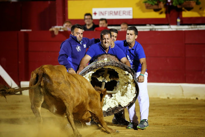 Recortadores Pro Tour Vieux-Boucau 18.08.14 2014©William LUCAS (57)