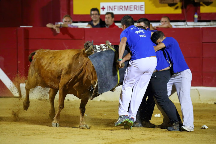 Recortadores Pro Tour Vieux-Boucau 18.08.14 2014©William LUCAS (58)