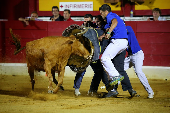 Recortadores Pro Tour Vieux-Boucau 18.08.14 2014©William LUCAS (59)