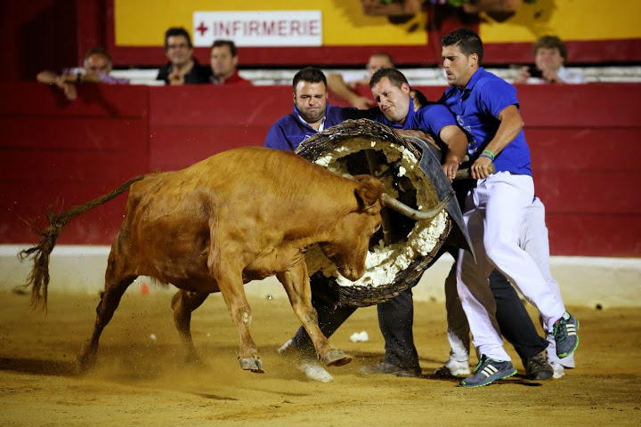 Recortadores Pro Tour Vieux-Boucau 18.08.14 2014©William LUCAS (60)