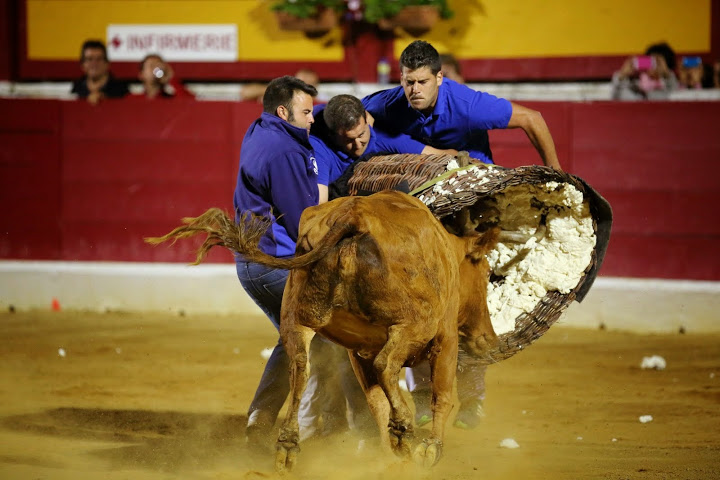 Recortadores Pro Tour Vieux-Boucau 18.08.14 2014©William LUCAS (61)