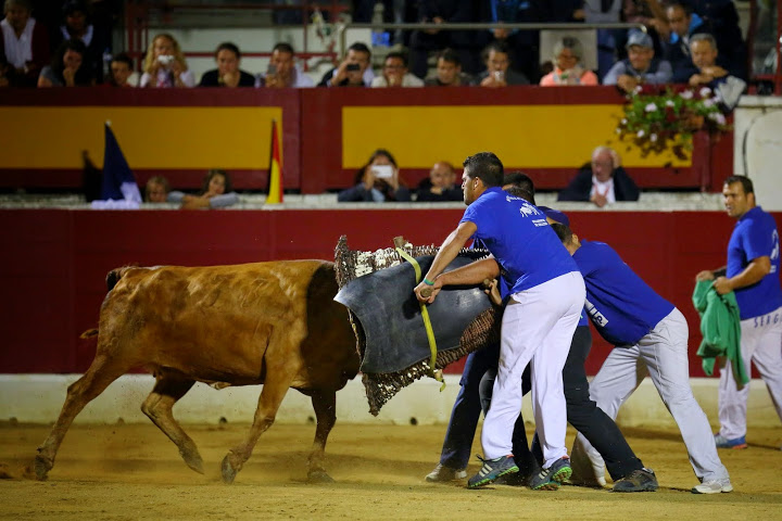 Recortadores Pro Tour Vieux-Boucau 18.08.14 2014©William LUCAS (62)