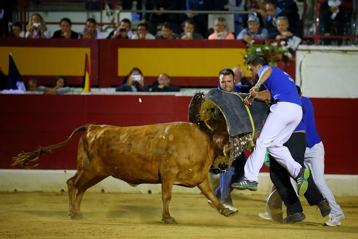Recortadores Pro Tour Vieux-Boucau 18.08.14 2014©William LUCAS (63)