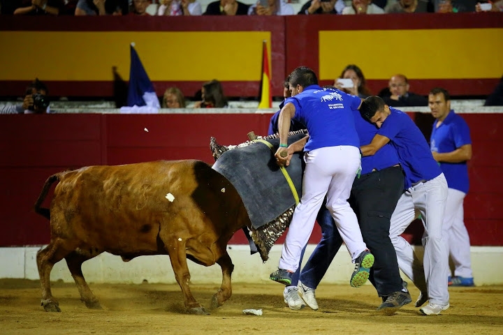 Recortadores Pro Tour Vieux-Boucau 18.08.14 2014©William LUCAS (64)
