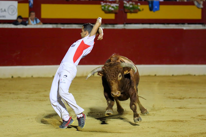 Recortadores Pro Tour Vieux-Boucau 18.08.14 2014©William LUCAS (68)