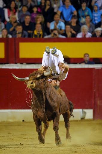 Recortadores Pro Tour Vieux-Boucau 18.08.14 2014©William LUCAS (71)