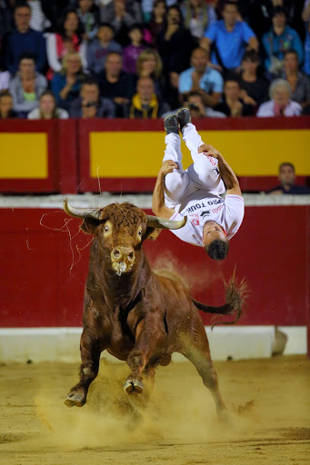Recortadores Pro Tour Vieux-Boucau 18.08.14 2014©William LUCAS (72)