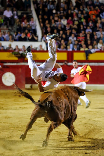 Recortadores Pro Tour Vieux-Boucau 18.08.14 2014©William LUCAS (73)