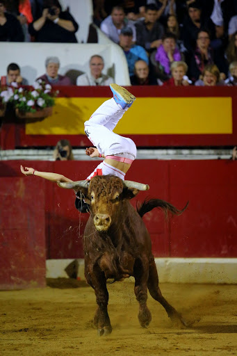 Recortadores Pro Tour Vieux-Boucau 18.08.14 2014©William LUCAS (74)