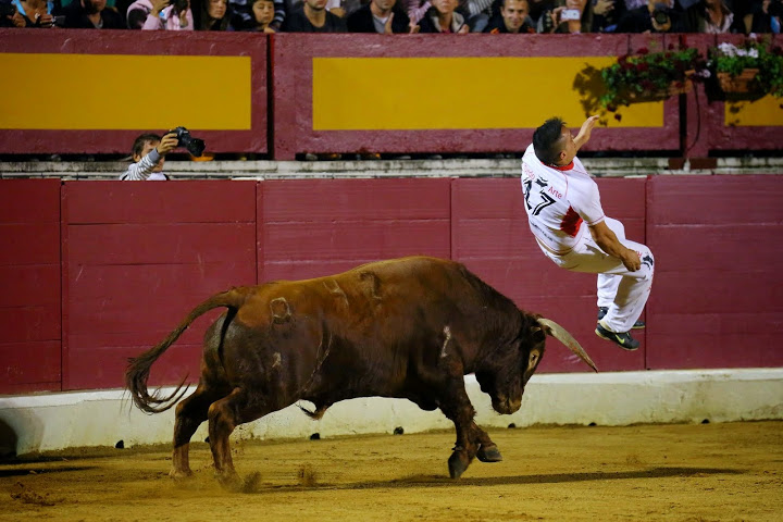 Recortadores Pro Tour Vieux-Boucau 18.08.14 2014©William LUCAS (76)