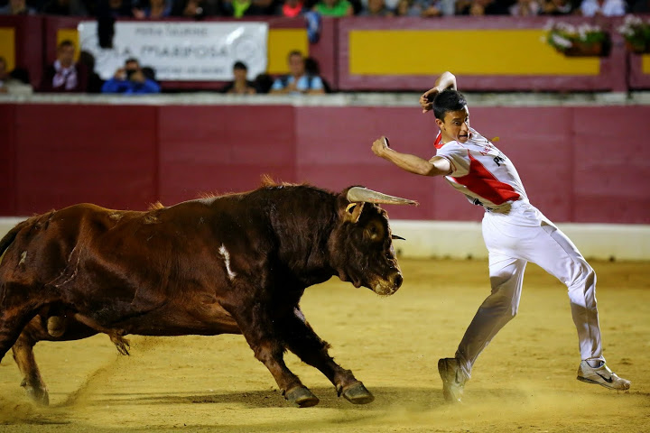 Recortadores Pro Tour Vieux-Boucau 18.08.14 2014©William LUCAS (78)