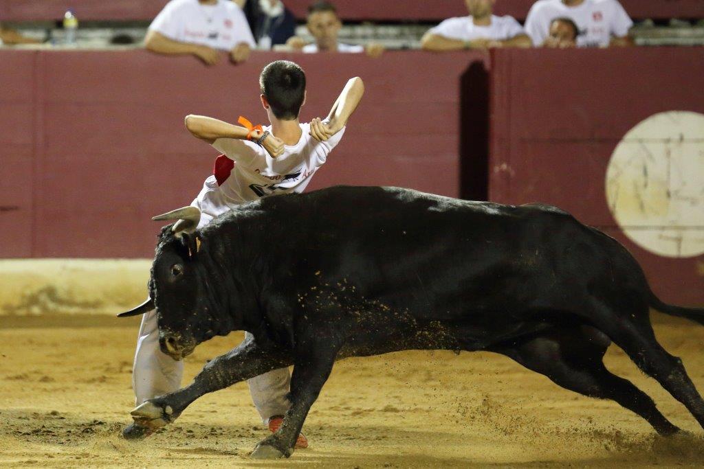 Recortadores Pro Tour Vieux-Boucau 21.08.17 2017©William LUCAS (22)