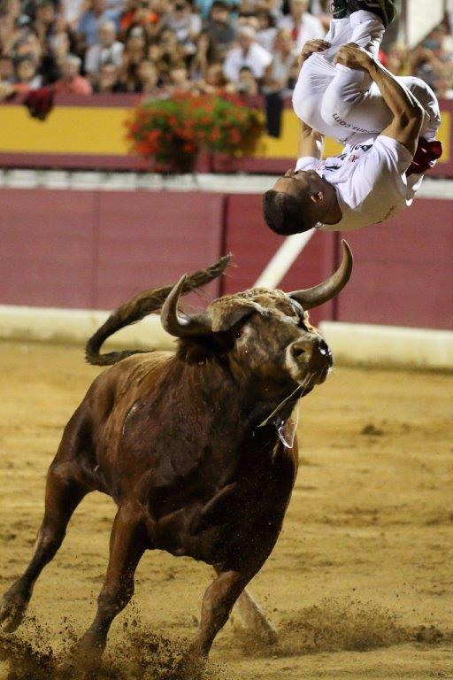 Recortadores Pro Tour Vieux-Boucau 21.08.17 2017©William LUCAS (42)