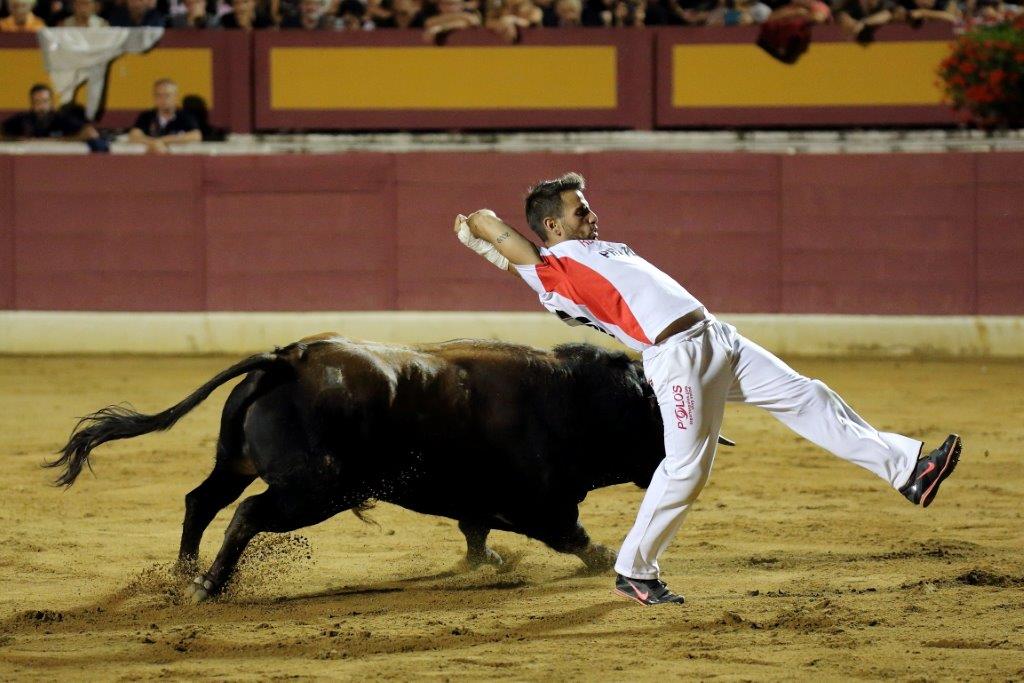 Recortadores Pro Tour Vieux-Boucau 21.08.17 2017©William LUCAS (55)