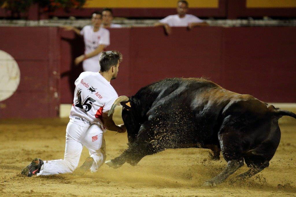 Recortadores Pro Tour Vieux-Boucau 21.08.17 2017©William LUCAS (59)