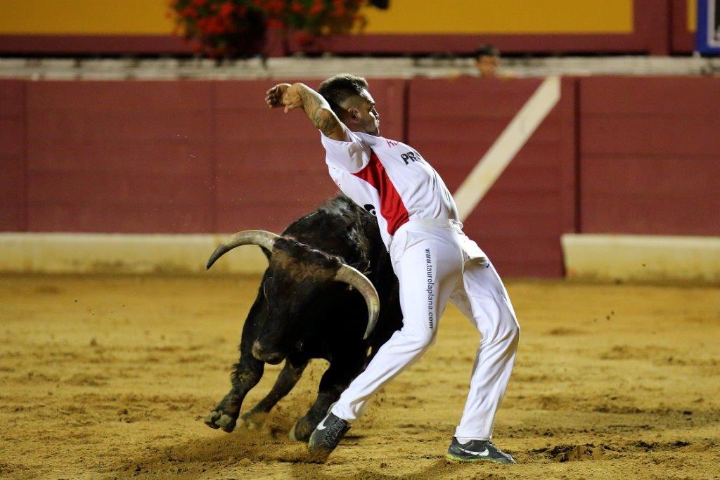 Recortadores Pro Tour Vieux-Boucau 21.08.17 2017©William LUCAS (61)