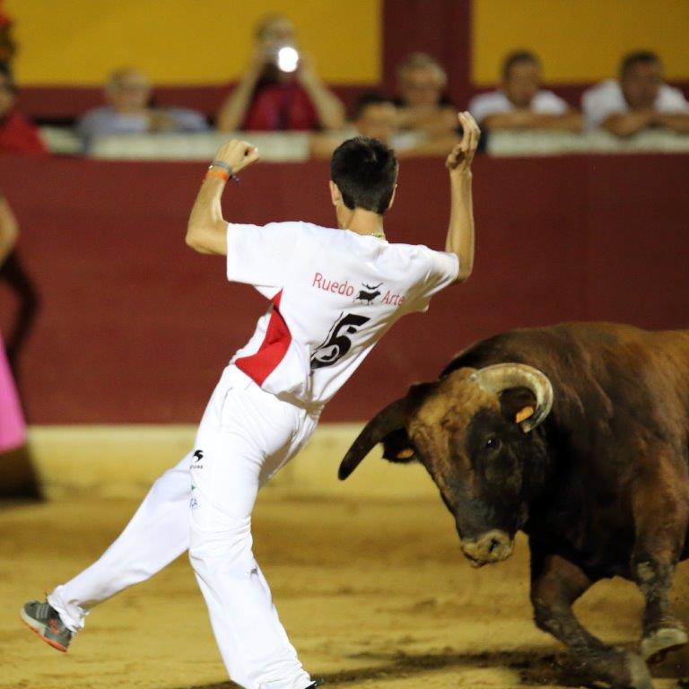 Recortadores Pro Tour Vieux-Boucau 21.08.17 2017©William LUCAS (70)