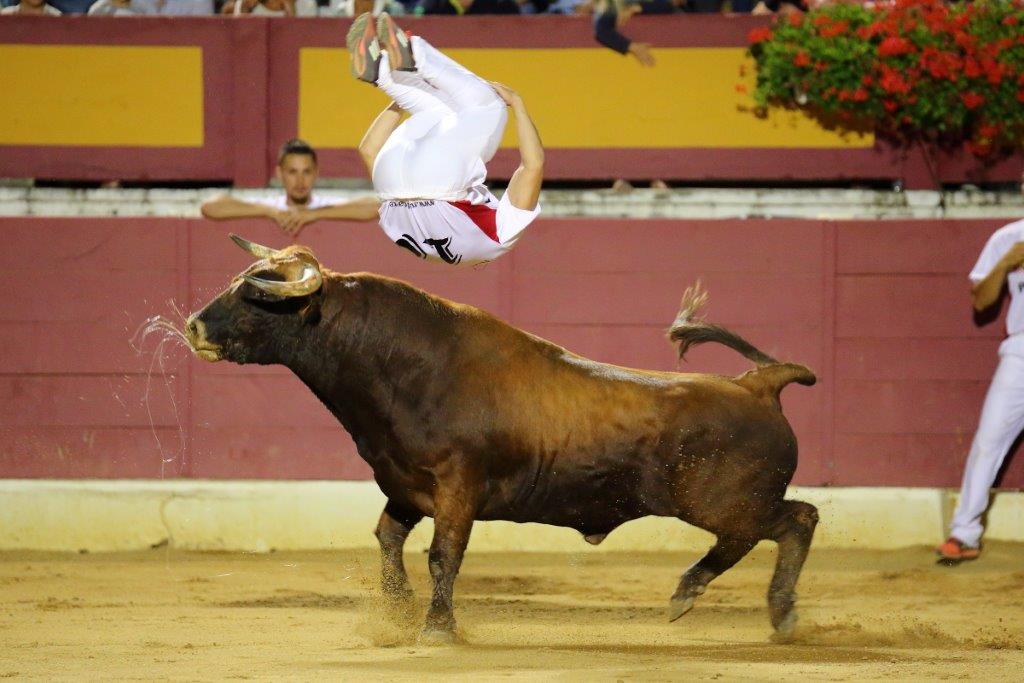 Recortadores Pro Tour Vieux-Boucau 21.08.17 2017©William LUCAS (72)