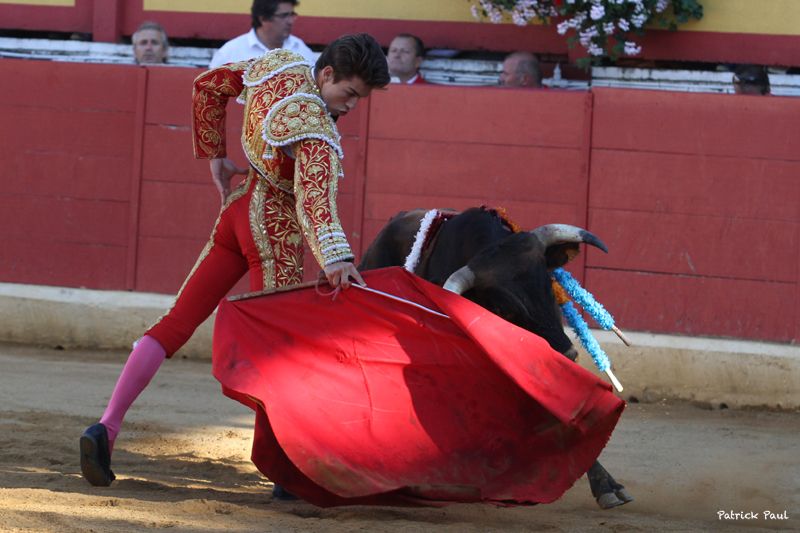 NOVILLADA