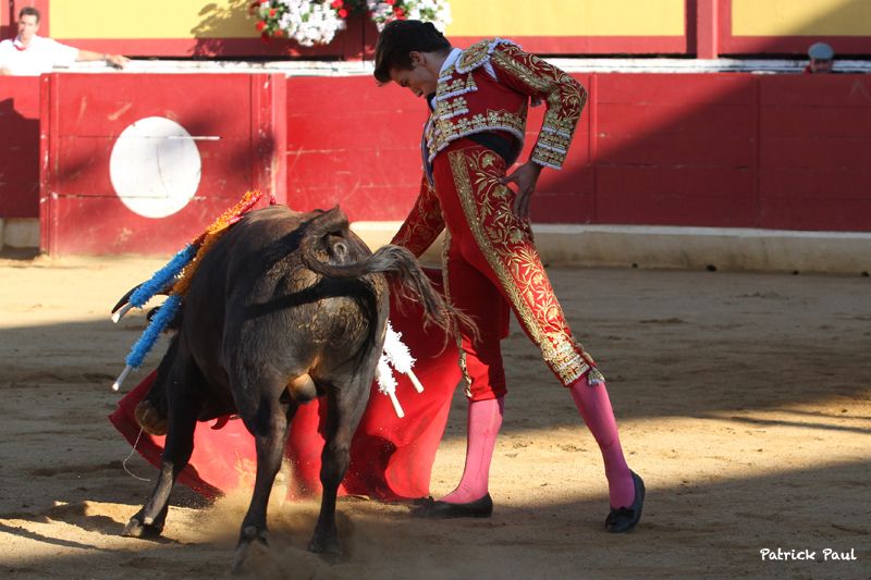 2013- NOVILLADA