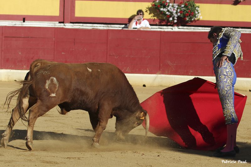 2013- NOVILLADA