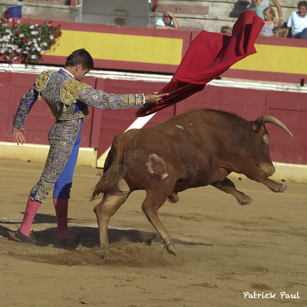 2013-NOVILLADA