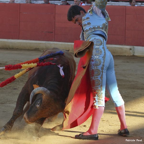 2013- NOVILLADA