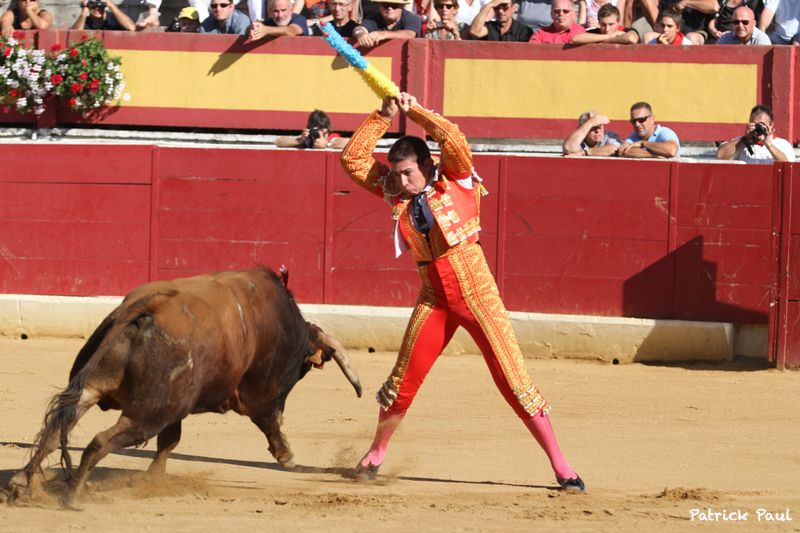 2013- NOVILLADA